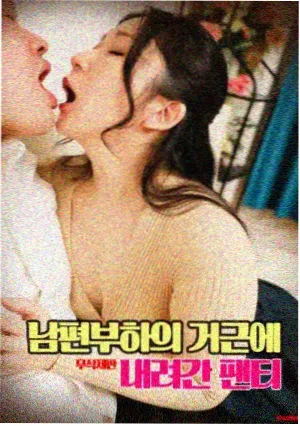 山雀与旧胶片 动画电影海报